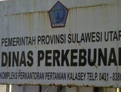 Permainan Proyek di Dinas Perkebunan Kampar: Nur Aini Diduga Terlibat