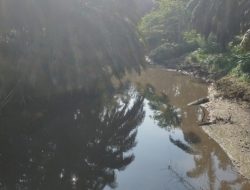 Warga Kampar Kekhawatiran dengan Pencemaran Sungai oleh Limbah Pabrik Kelapa Sawit