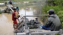 Aktivitas Tambang Emas Ilegal di Kampar Berlangsung 6 Bulan, Warga Minta Penindakan